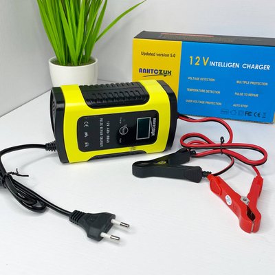 Інтелектуальний зарядний пристрій для акумуляторів RJTIANYE 12V 6A 2AH-100AH 100170 фото